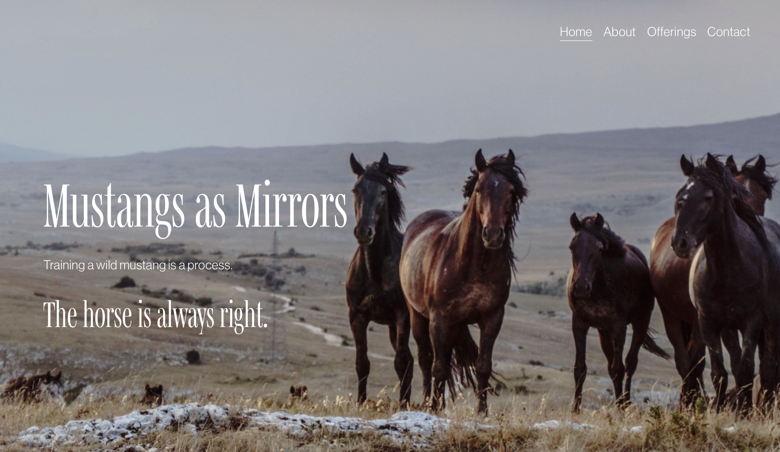 Screen Shot 2022-04-09 at 3.51.55 PM.png