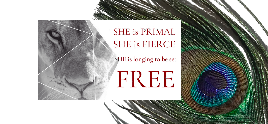 Screen Shot 2021-08-07 at 4.20.33 PM.png