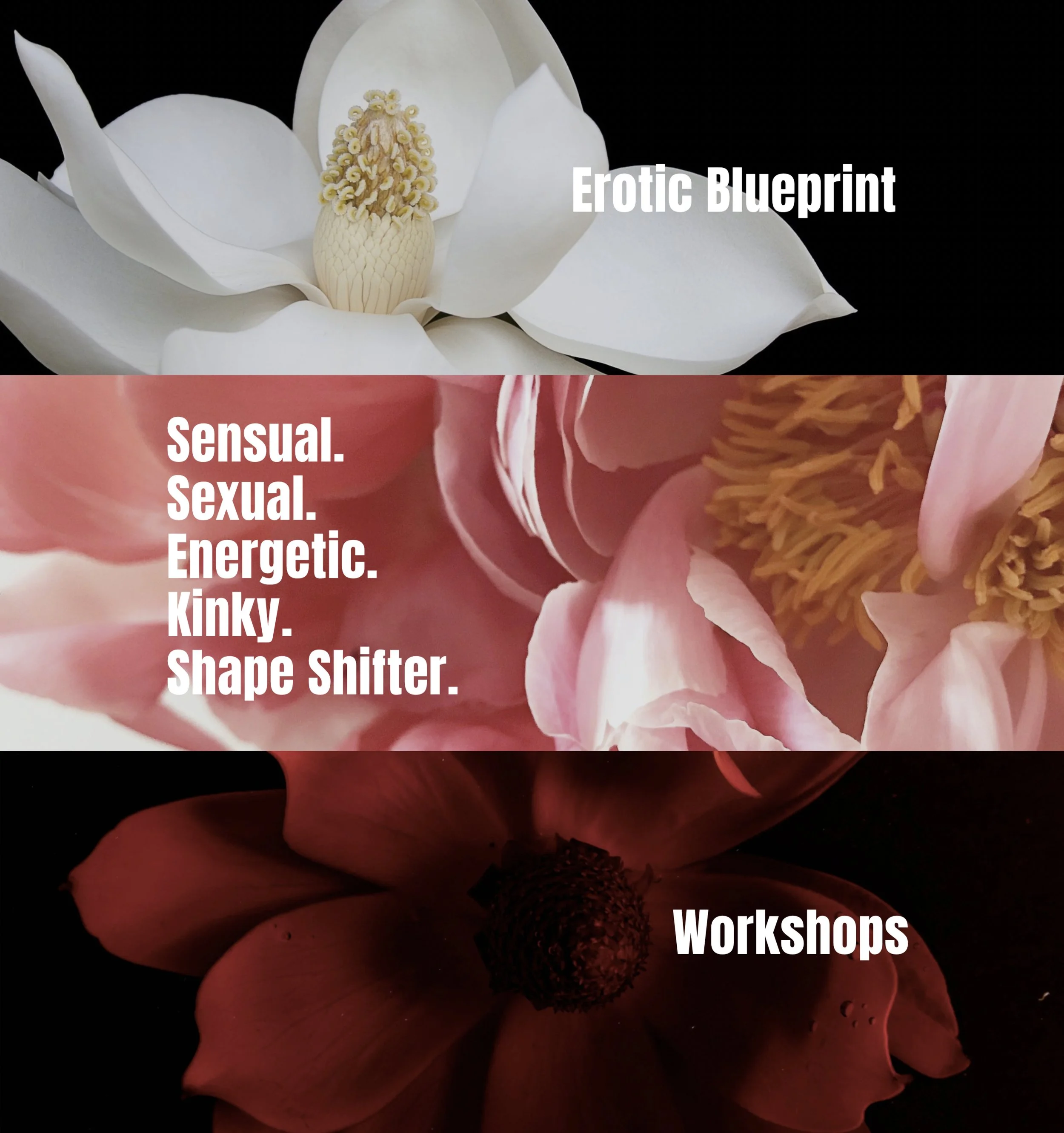 Erotic Blueprint.jpg