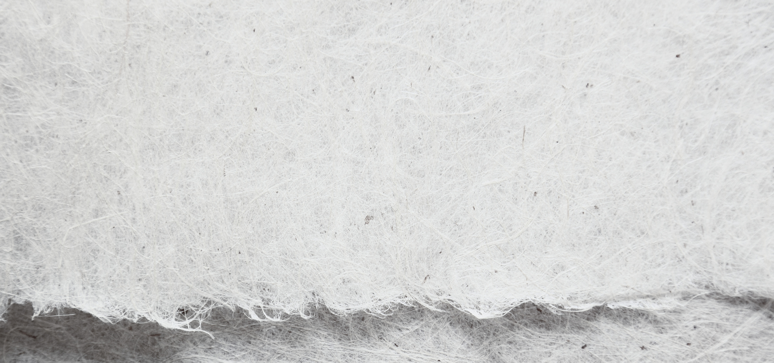 Close-up of a white, torn paper.