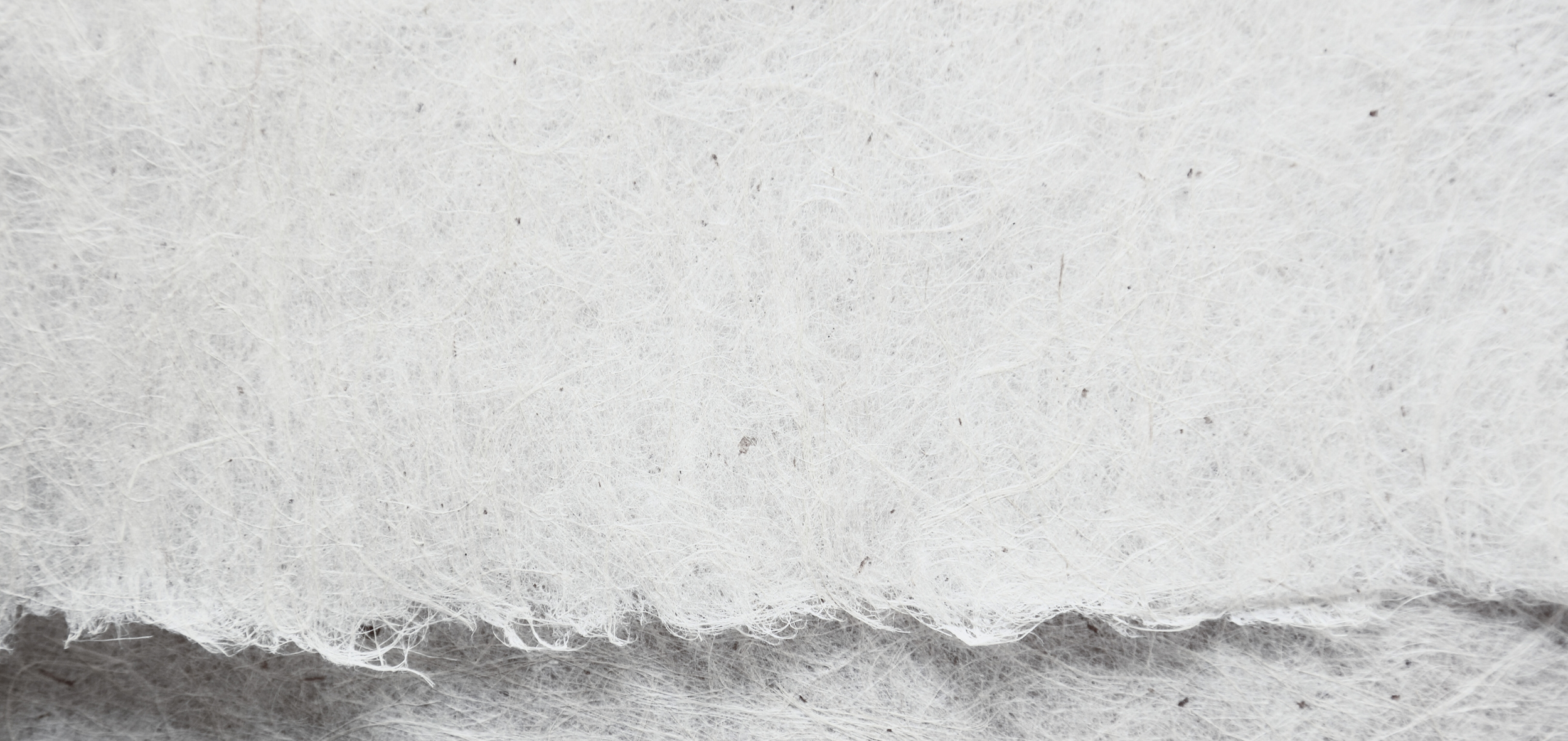 Close-up of a white, torn paper.