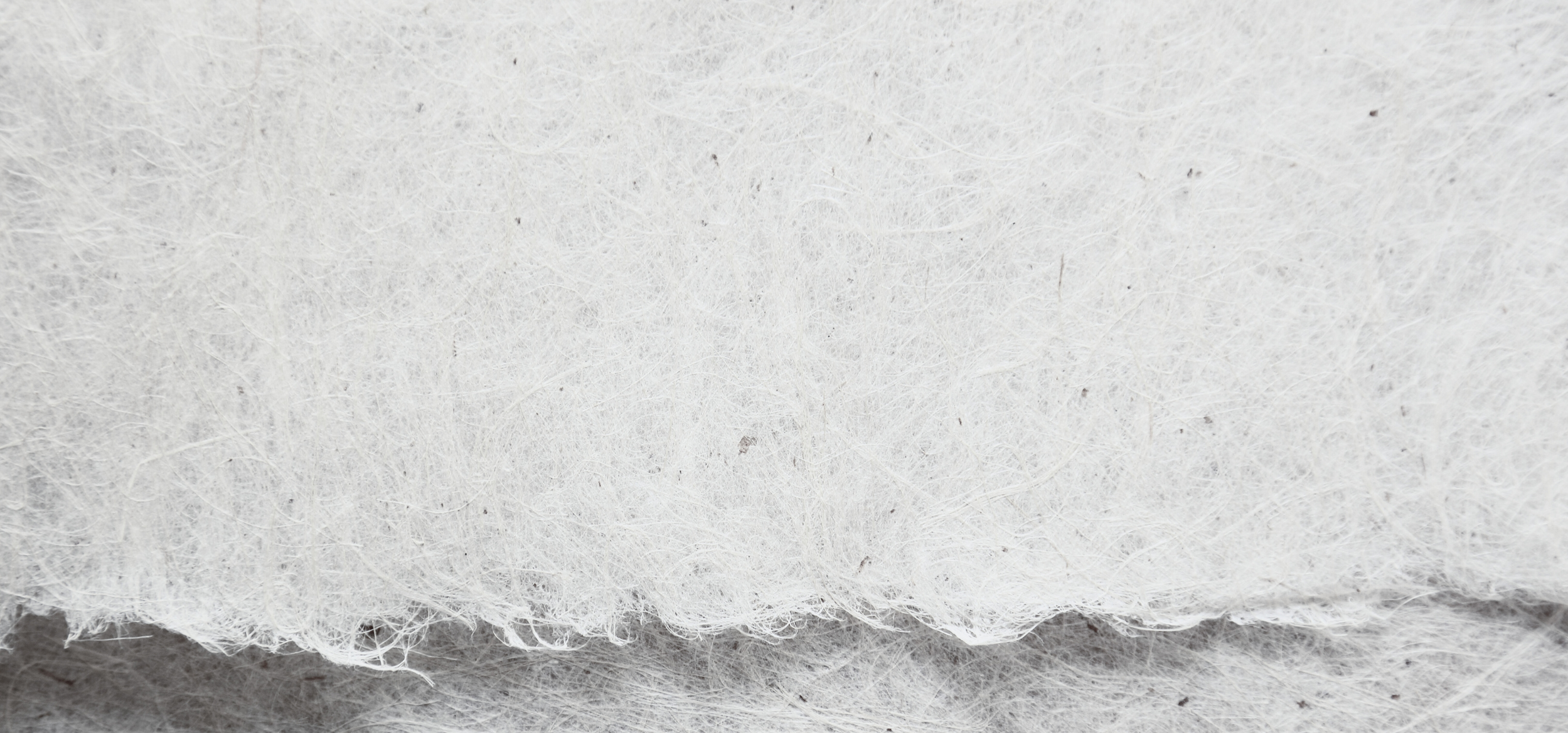 Close-up of a white, torn paper.