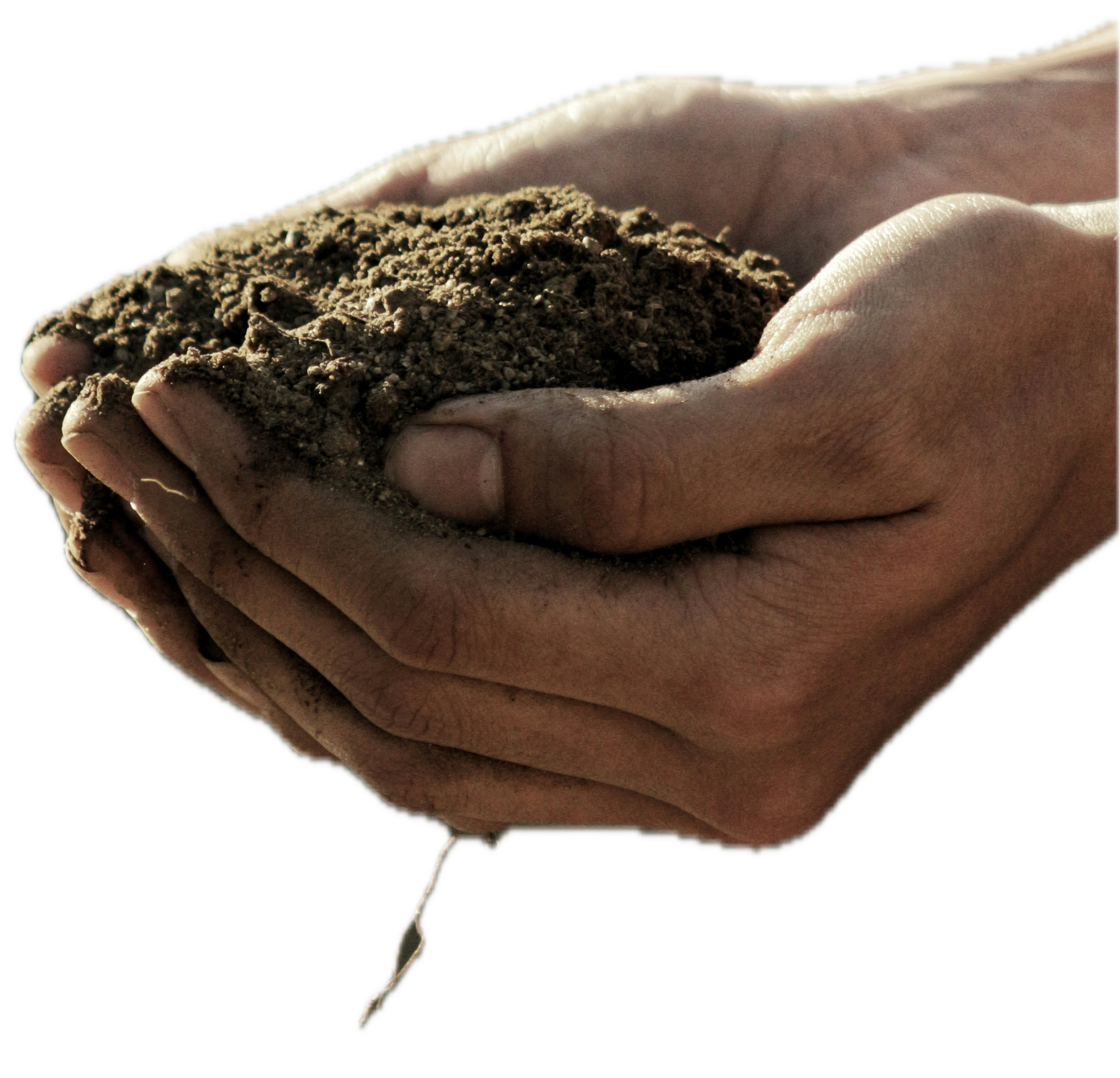 hands in soil