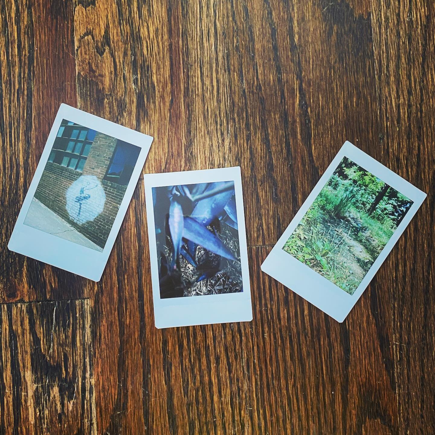 Daily walk polaroids #everydayphotography