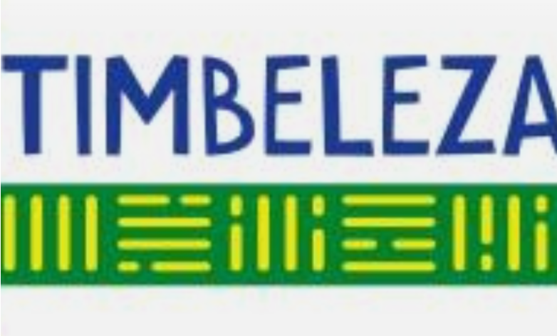 Timbeleza plays Millvale Music Festival 