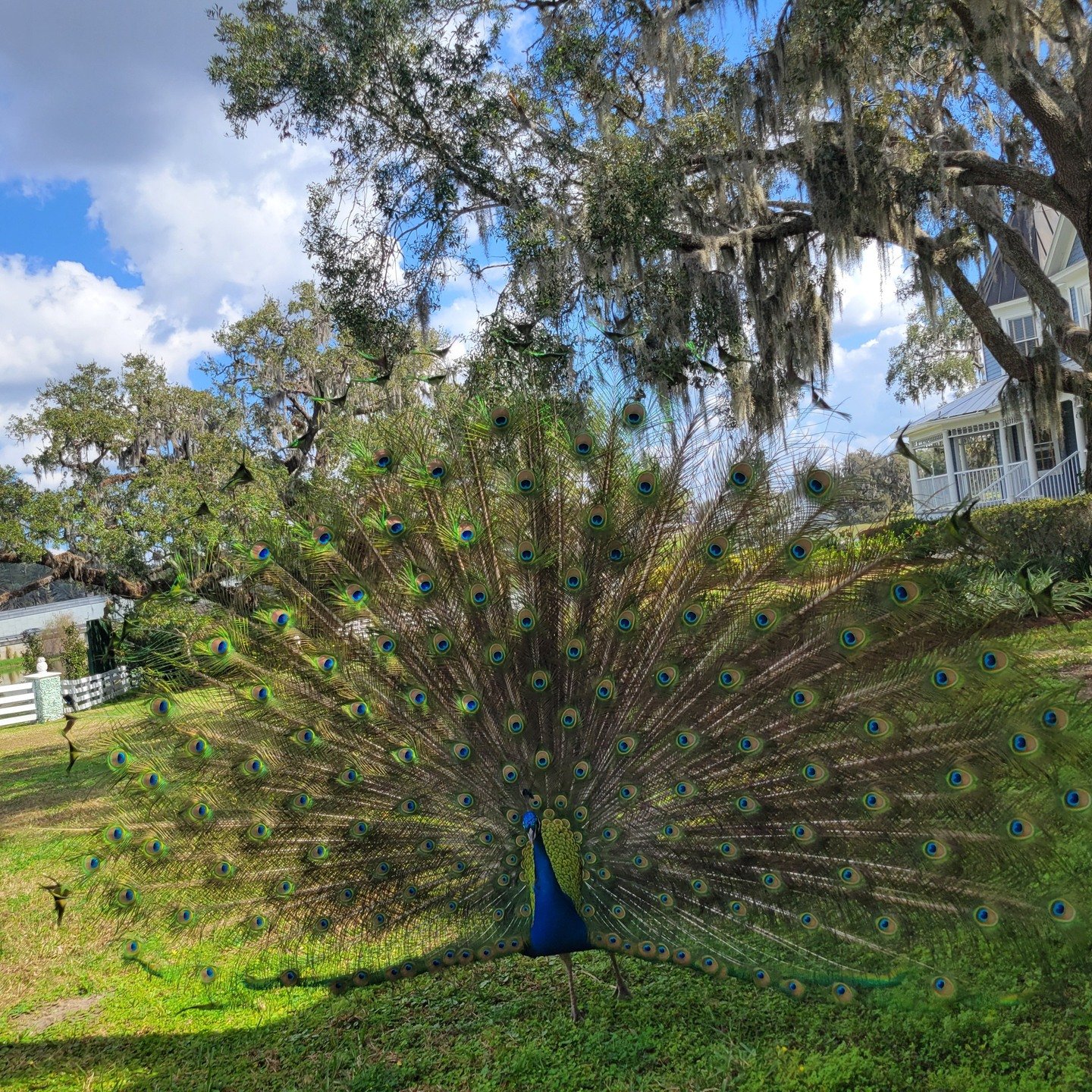 Celebrating Spring 🌸✨

We&rsquo;re out of the studio soaking it all in&hellip;
See you next week ❤️