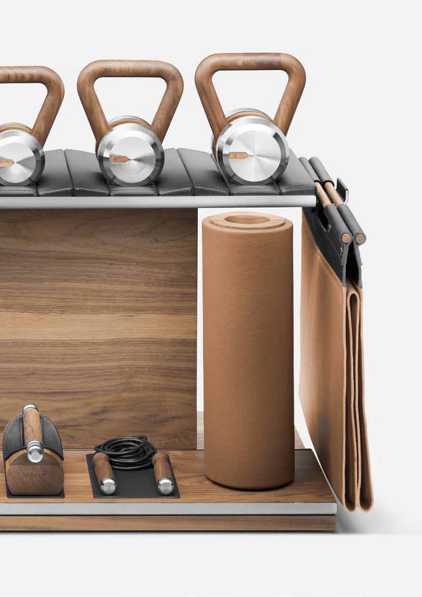 Pent luxury fitness equipment for Bauhu modular homes