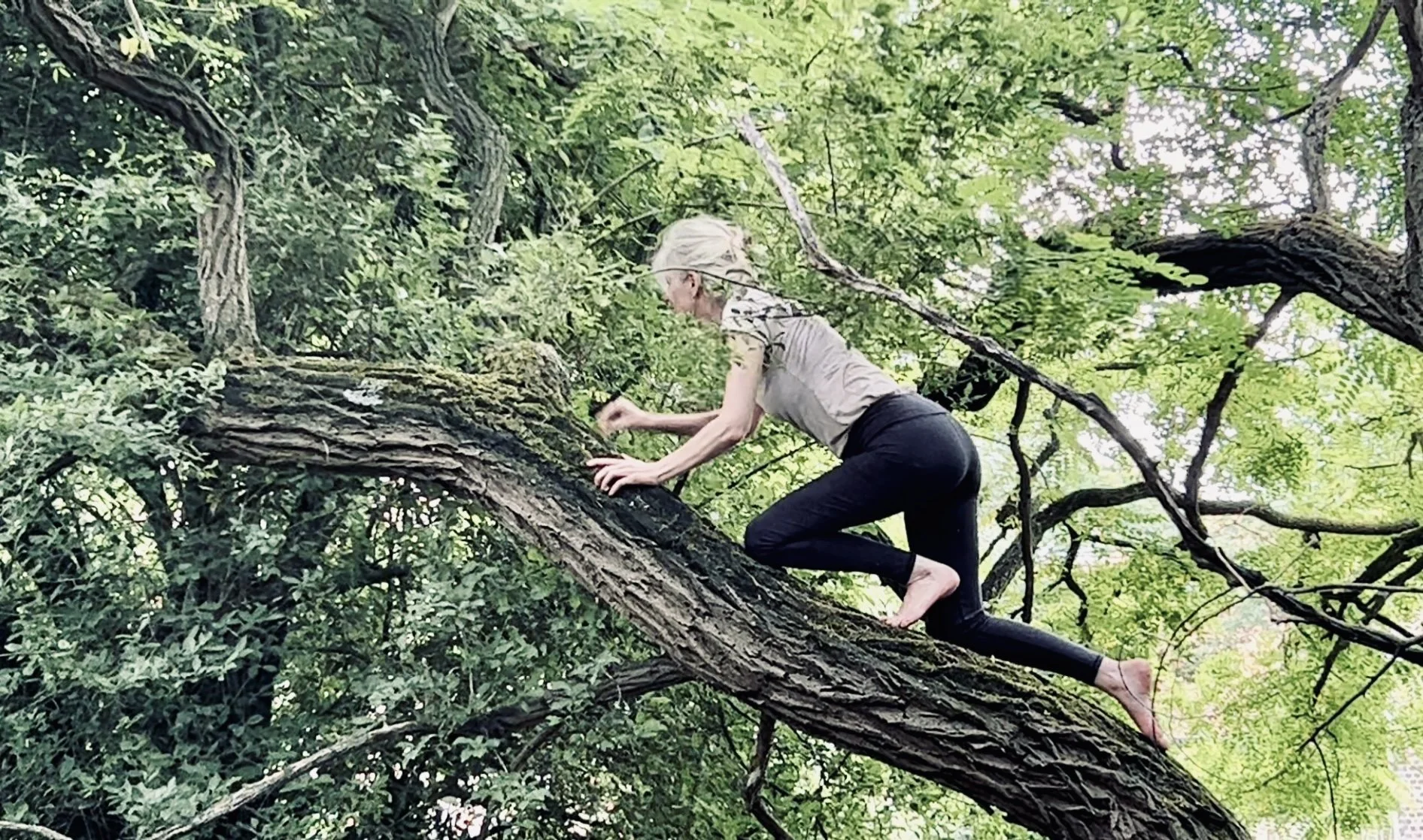 From Language to Dancing