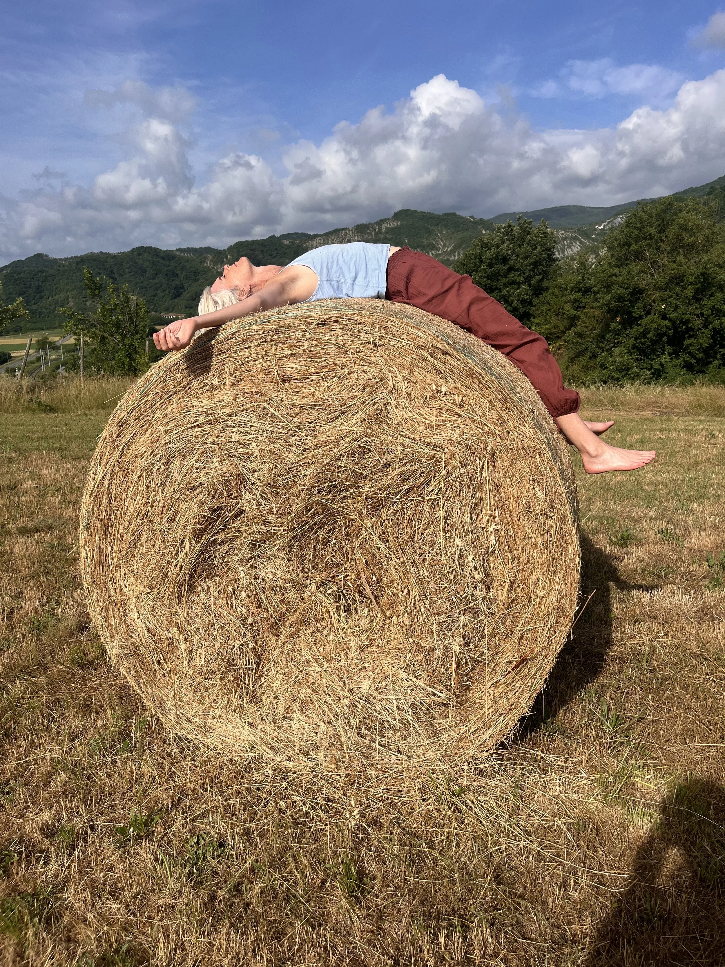 Meditation and self-inquiry retreat