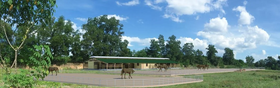 HIPPO FARM ELLEARCHITECTURE - copie.jpg