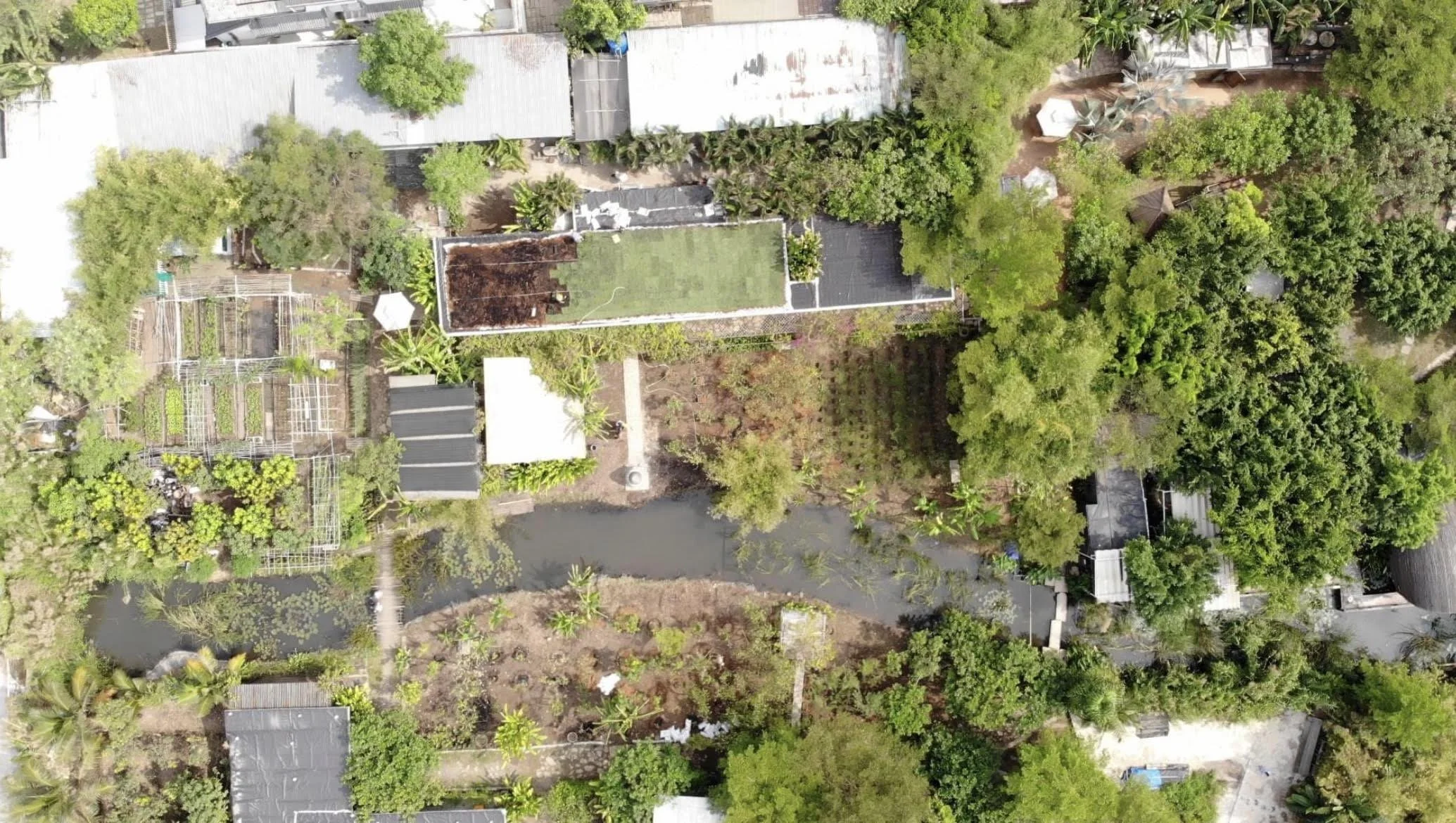 The Vietnamese Kitchen Garden"Vườn Nhà"