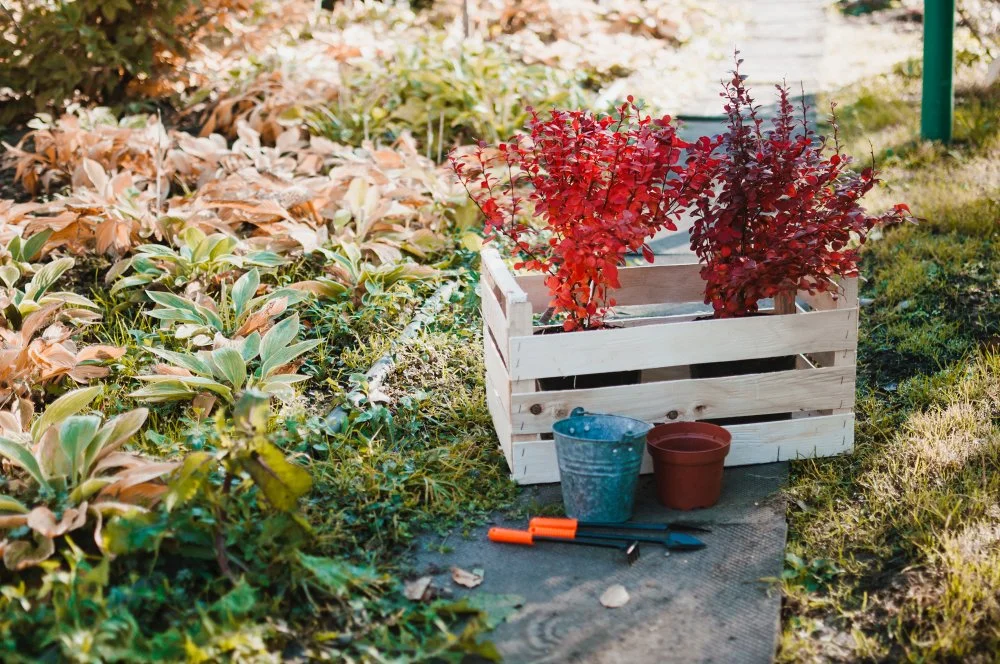 Effortless Garden in 3 steps ( for small space garden)