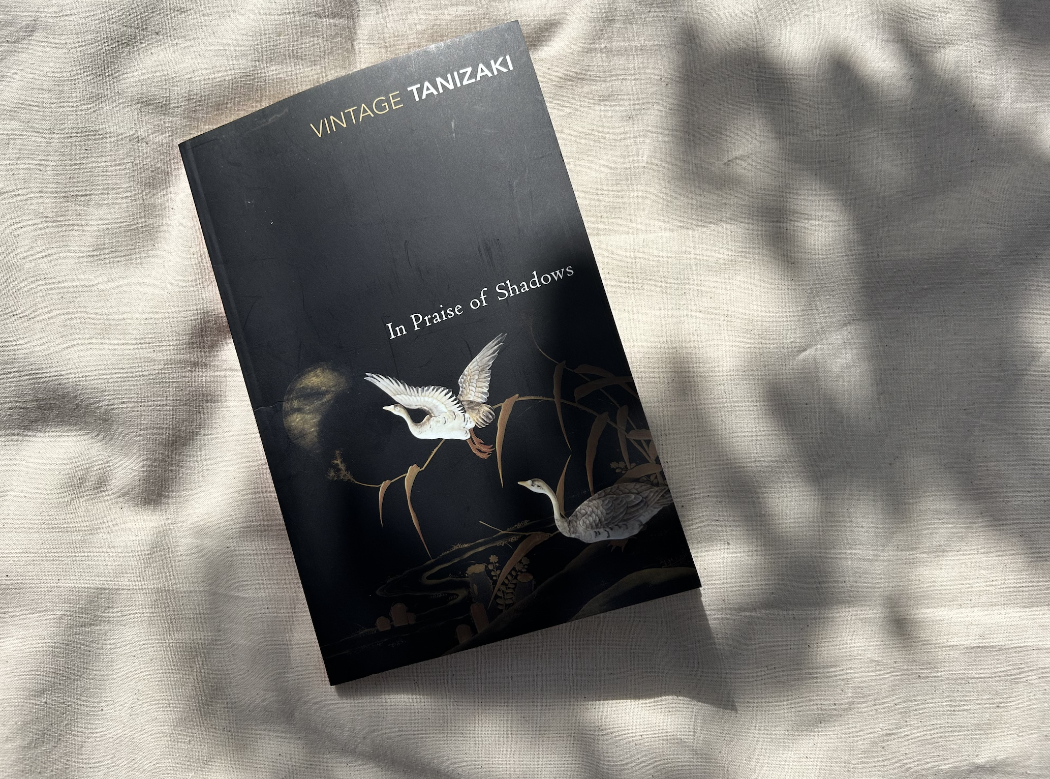 The Best Japanese Design Book : In Praise of Shadows