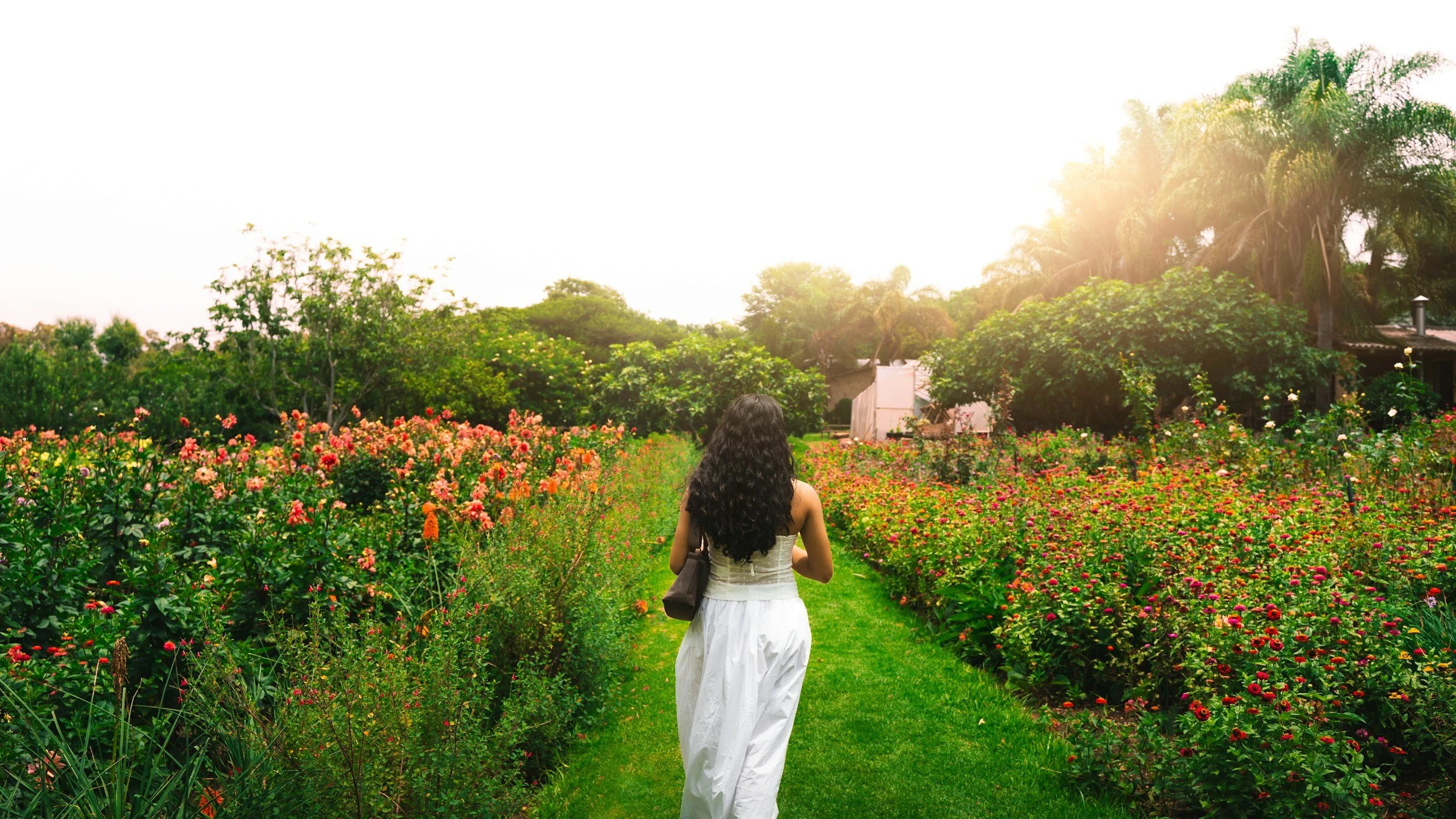 How To Build a Farm Hospitality Design System (4 Steps for Regenerative Farms &amp; Agritourism Experiences)