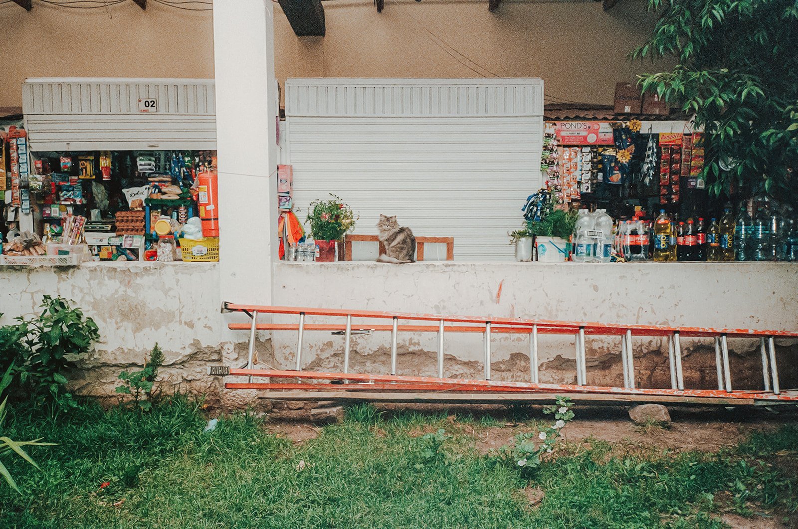 Peru on Film-108.jpg