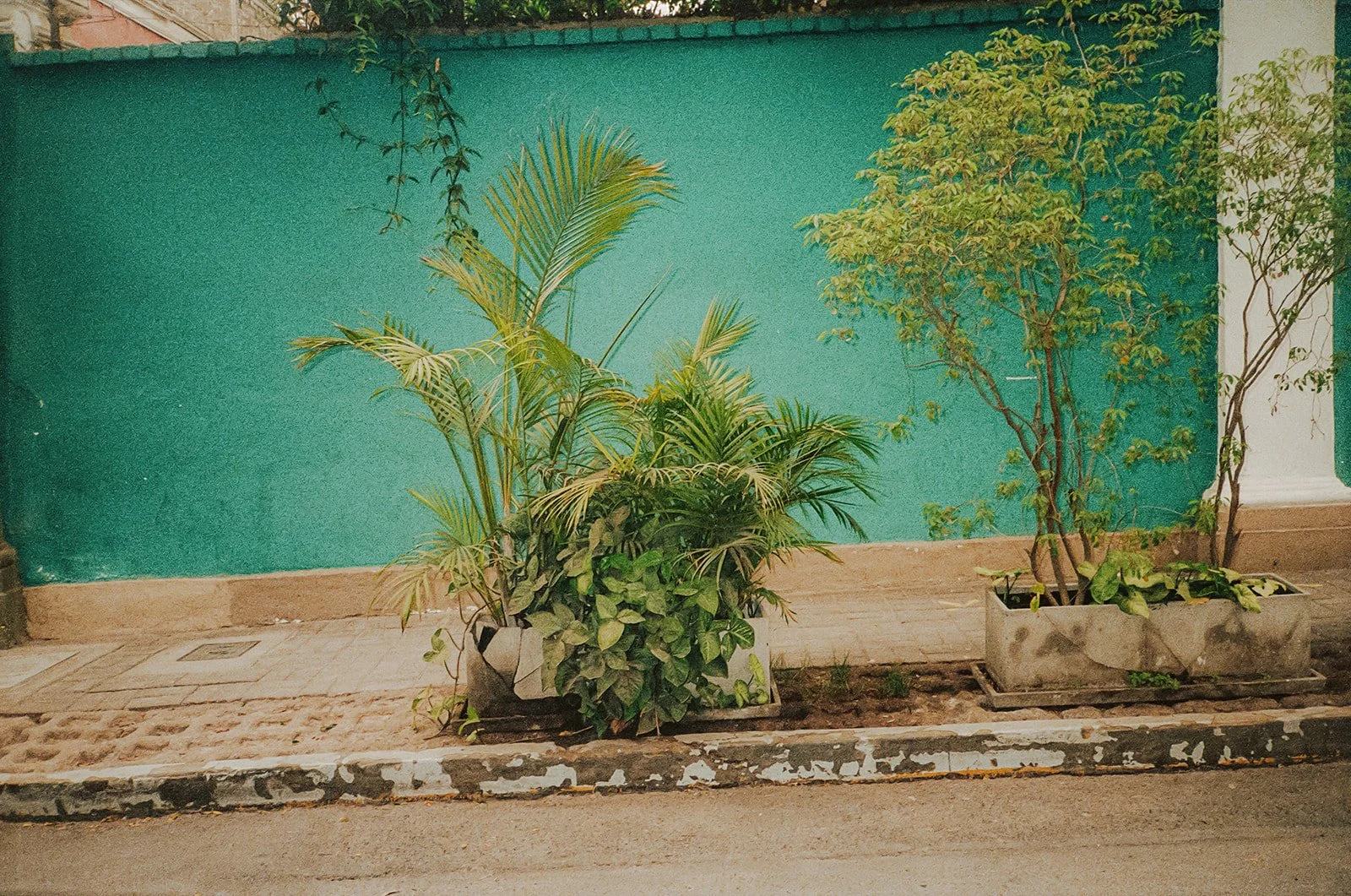 Peru on Film-72.jpg