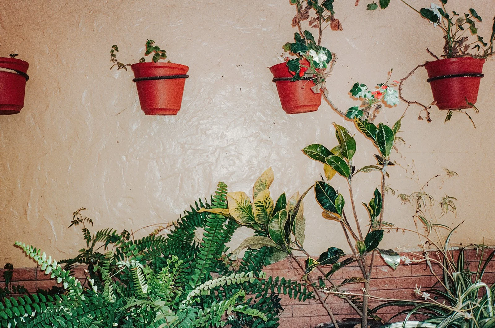 Peru on Film-87.jpg