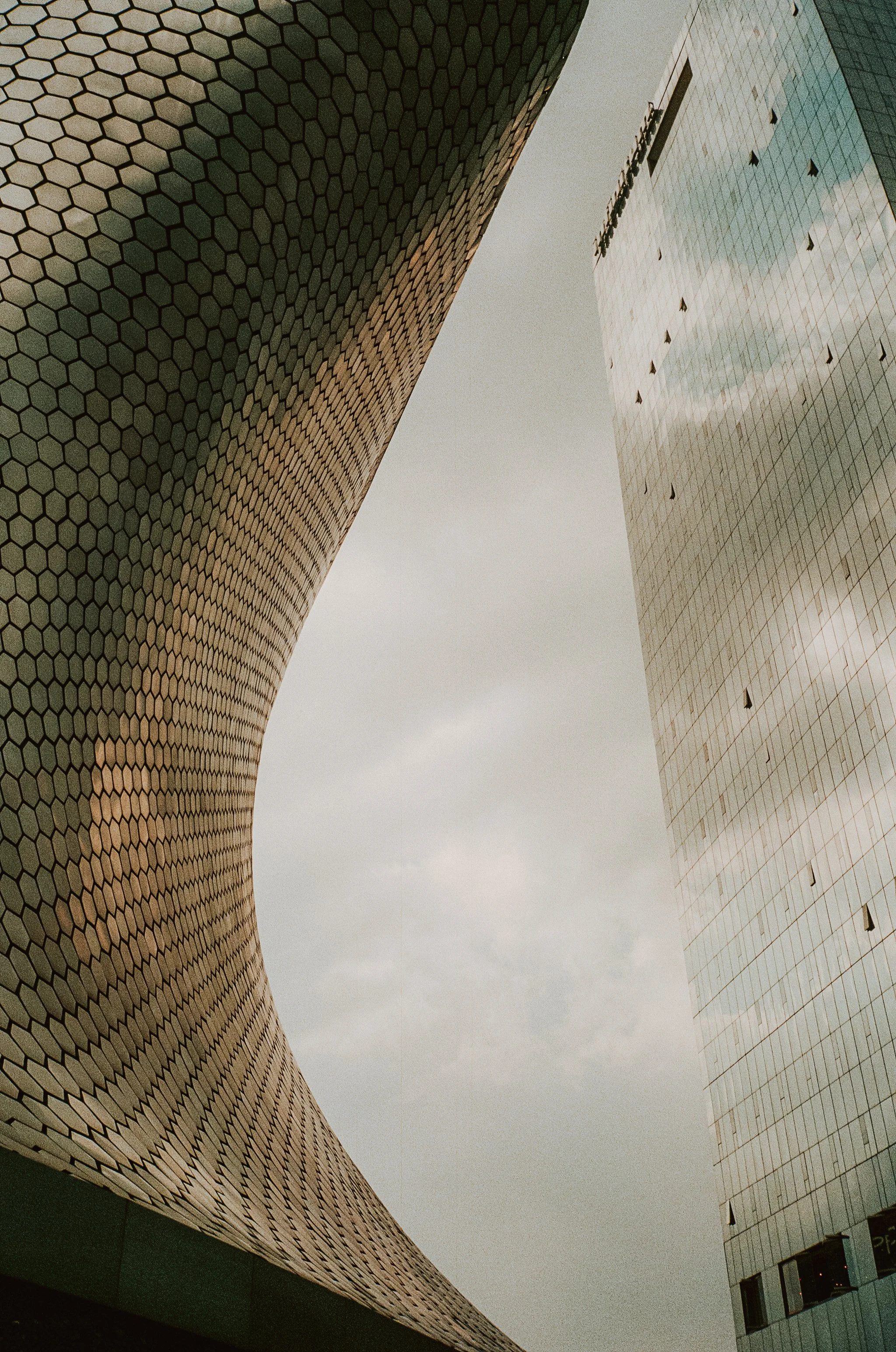 Mexico City on Film, December 2025-20.jpg