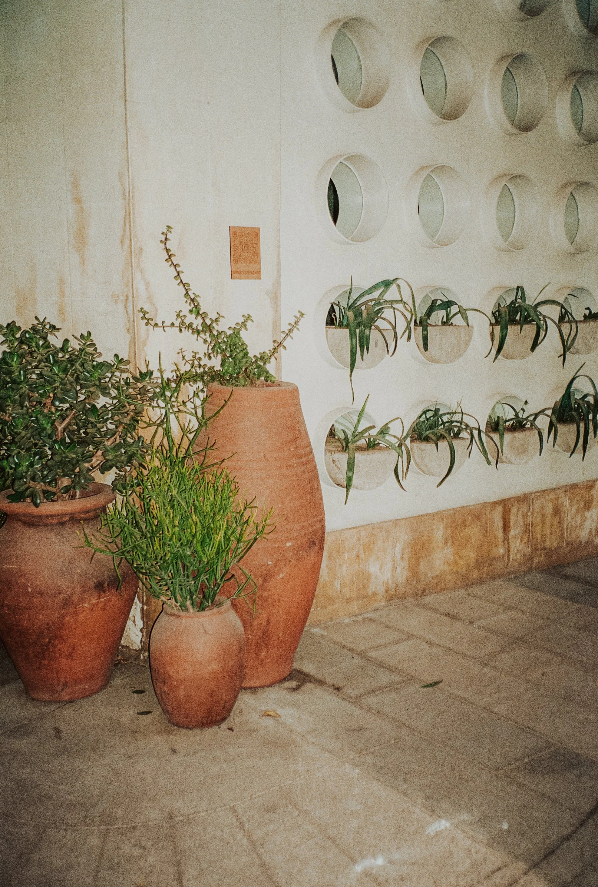 Mexico City on Film, December 2025-85.jpg