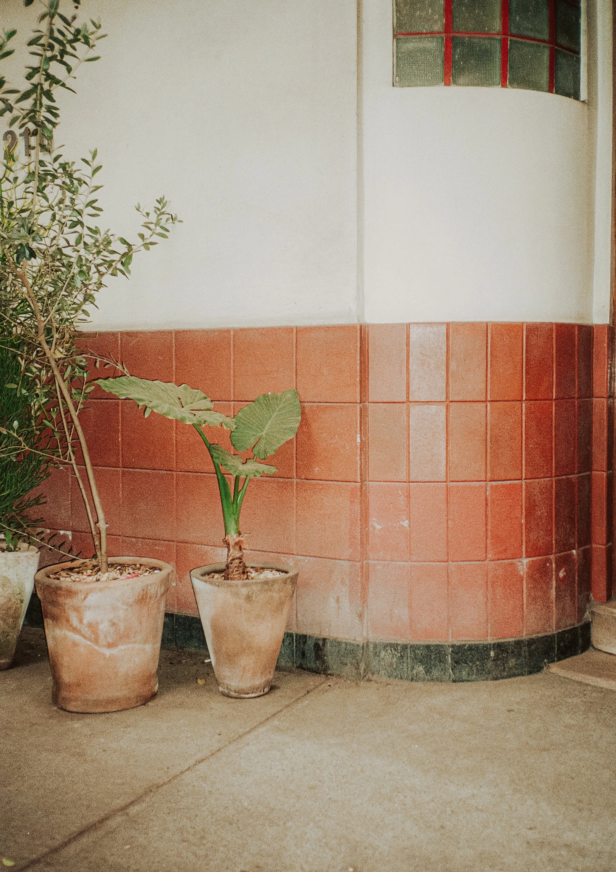 Mexico City on Film, December 2025-93.jpg