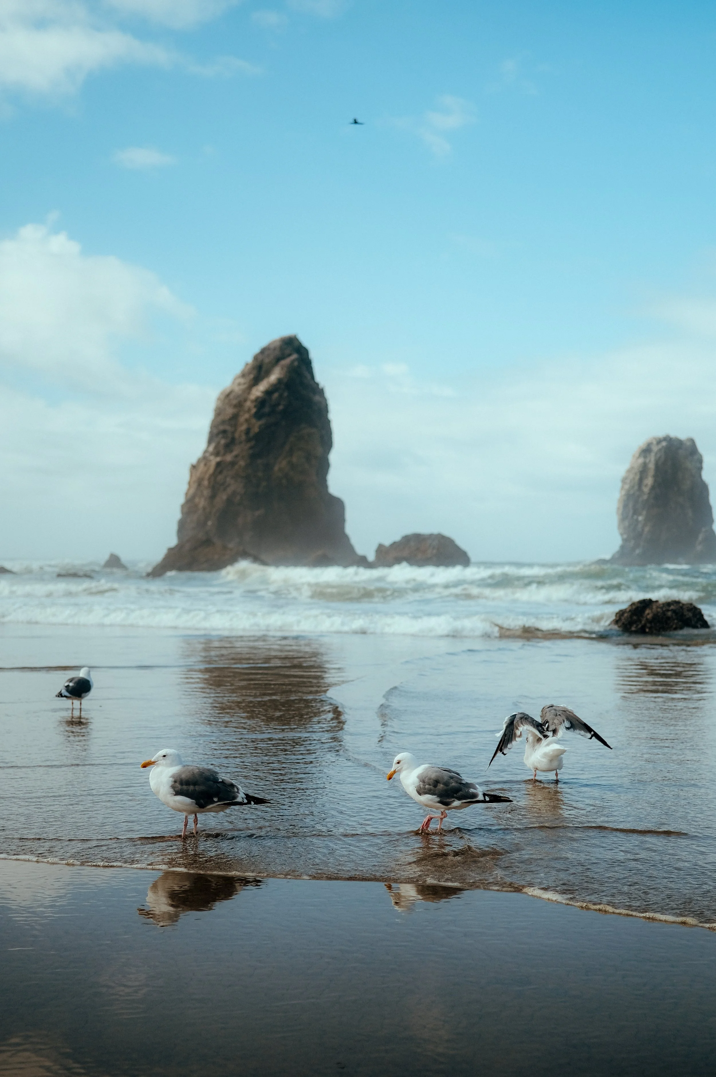 Cannon Beach-10.jpg