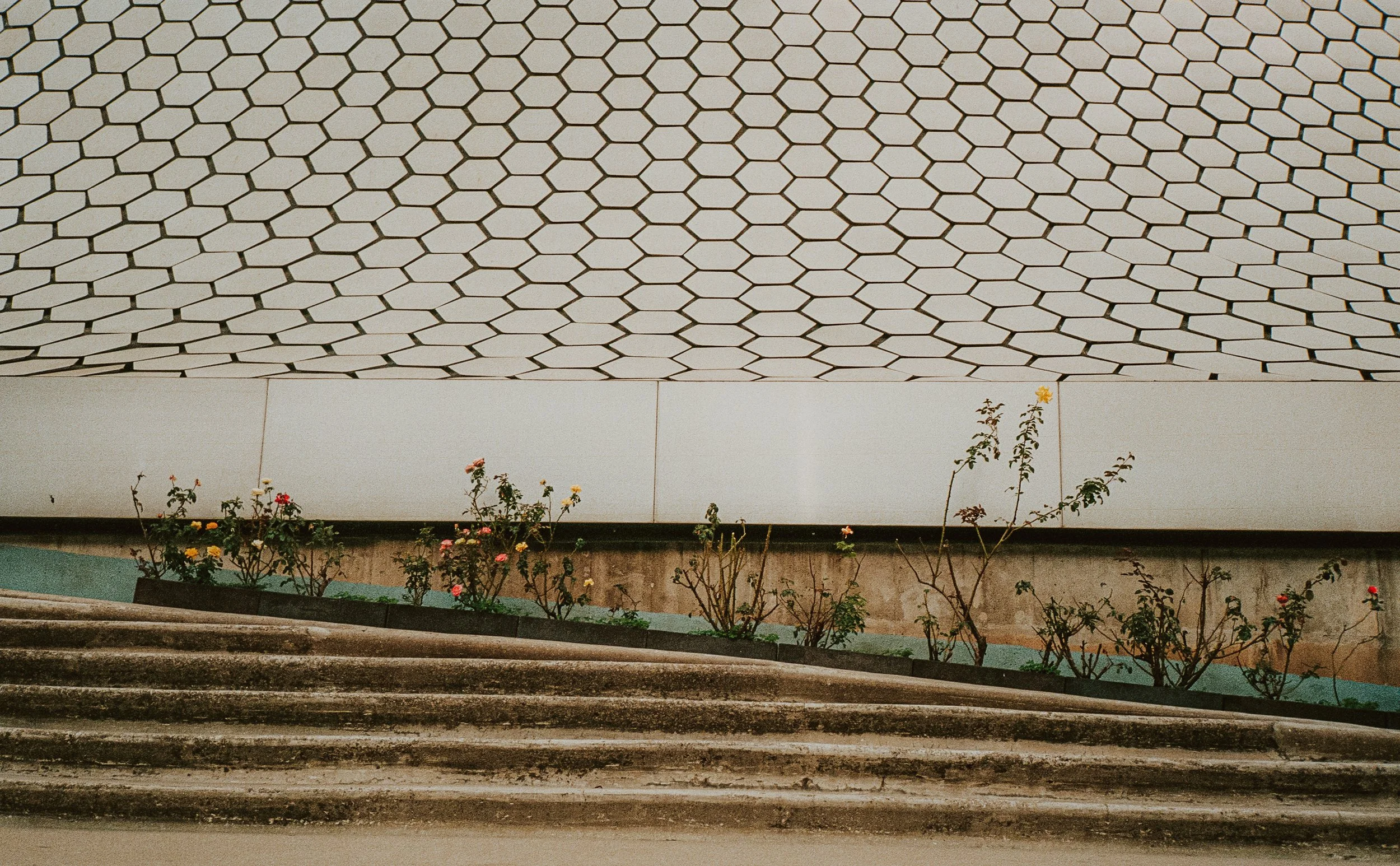 Mexico City on Film, December 2025-18.jpg