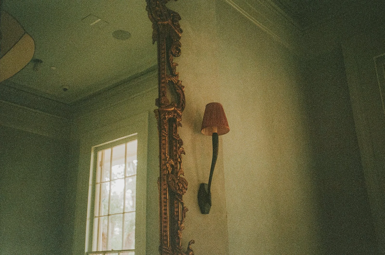 Film_ August 2026-54.jpg