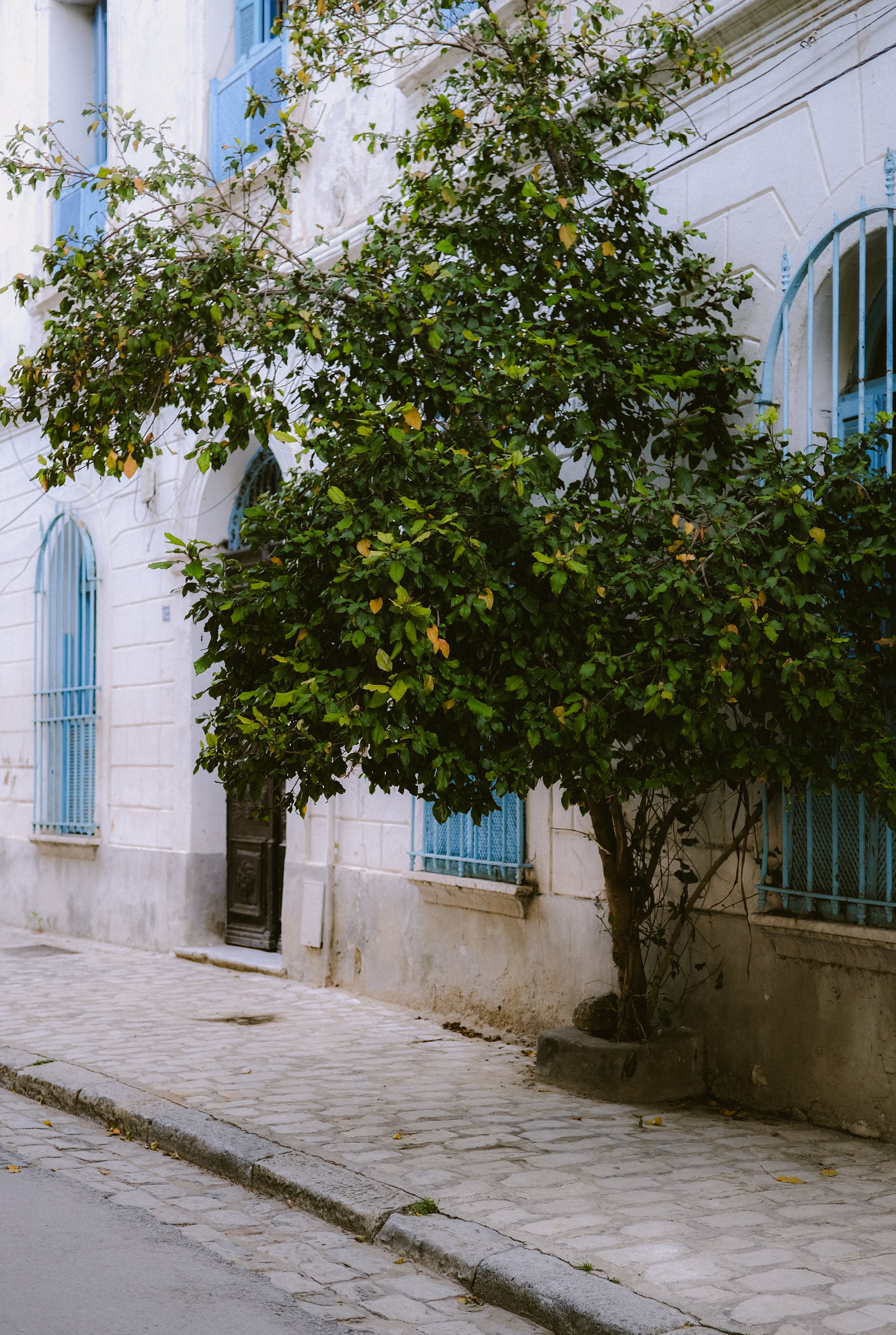 Tunis-53.jpg