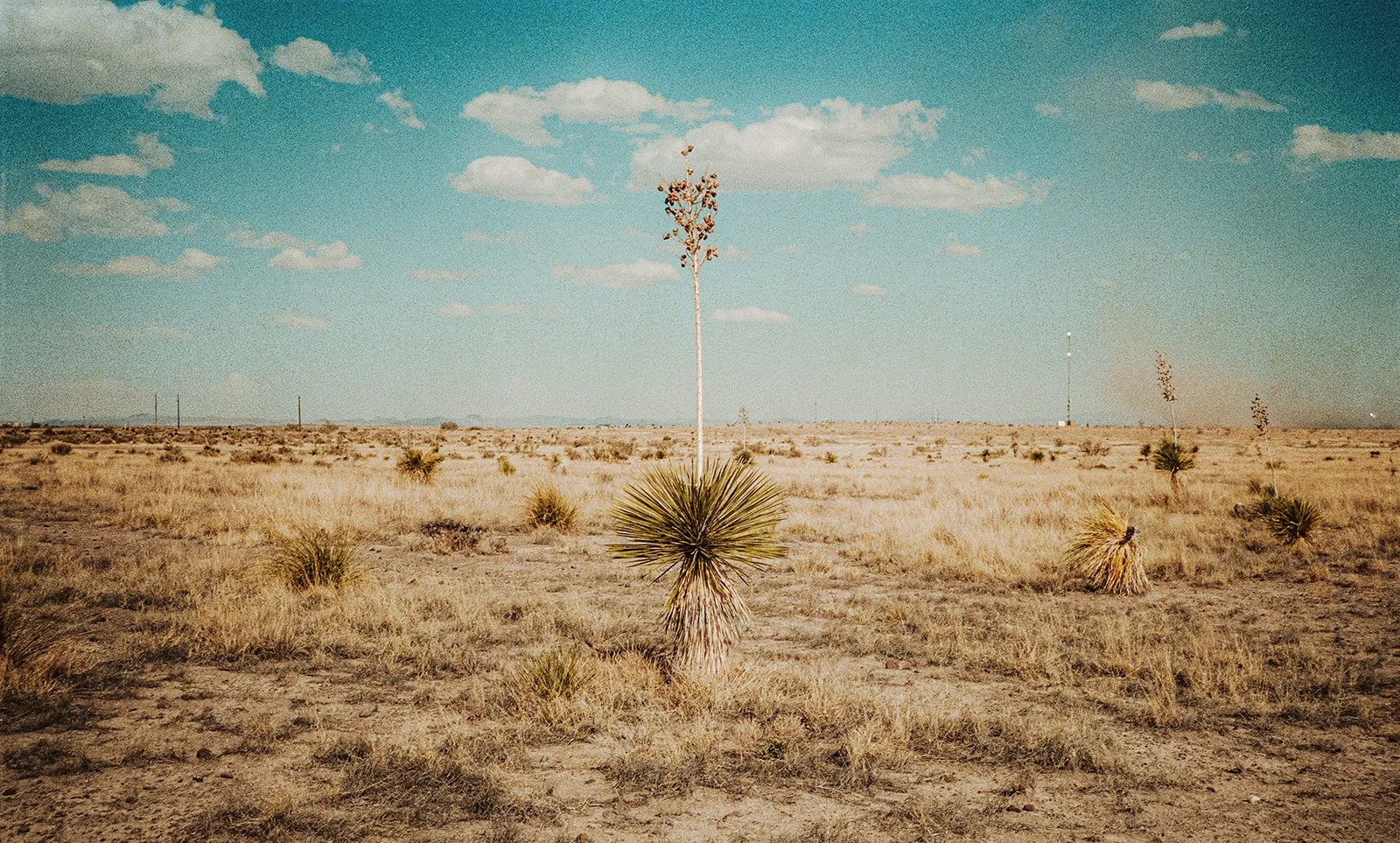 Colin and Jeremy Get Married-861.jpg