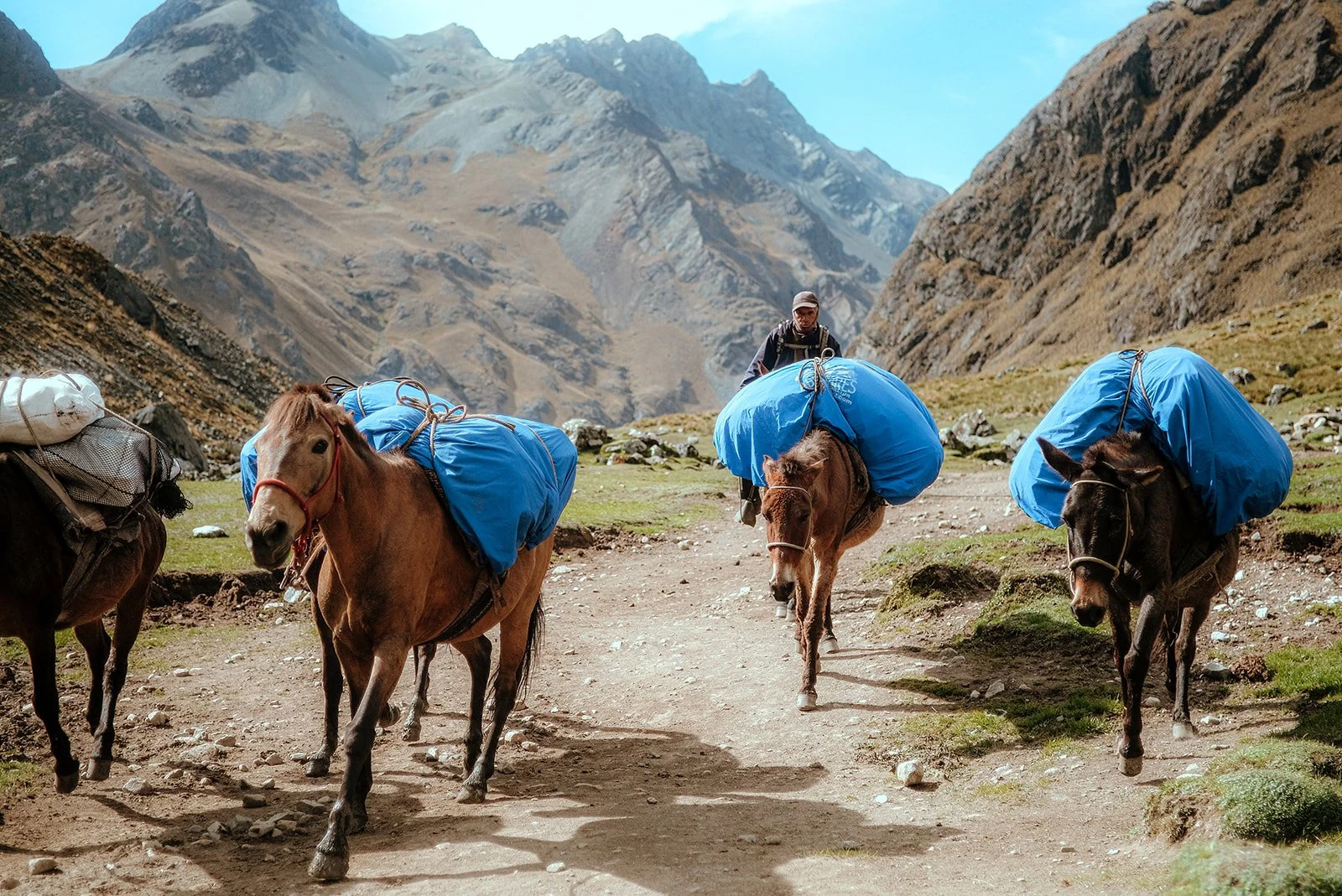Salkantay Trek-19.jpg