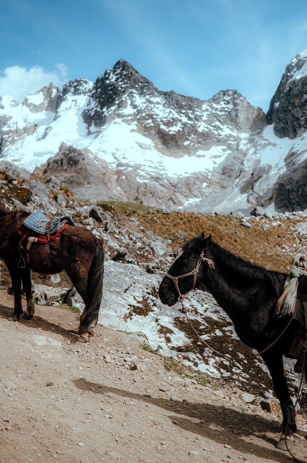Salkantay Trek-26.jpg