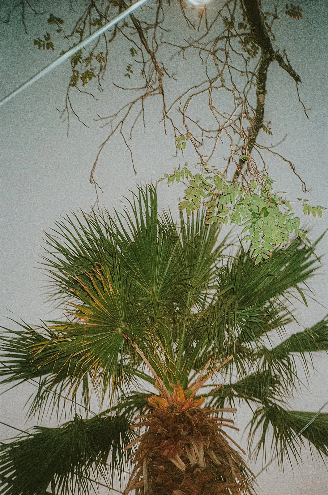 Annie and Grant-875.jpg