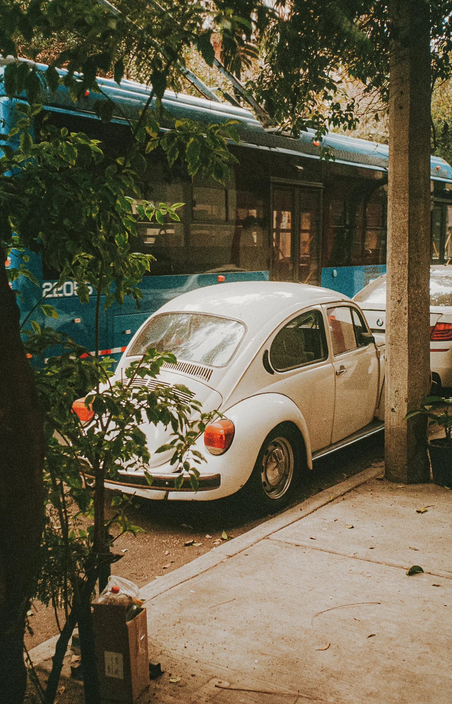 Mexico City on Film, December 2025-96.jpg