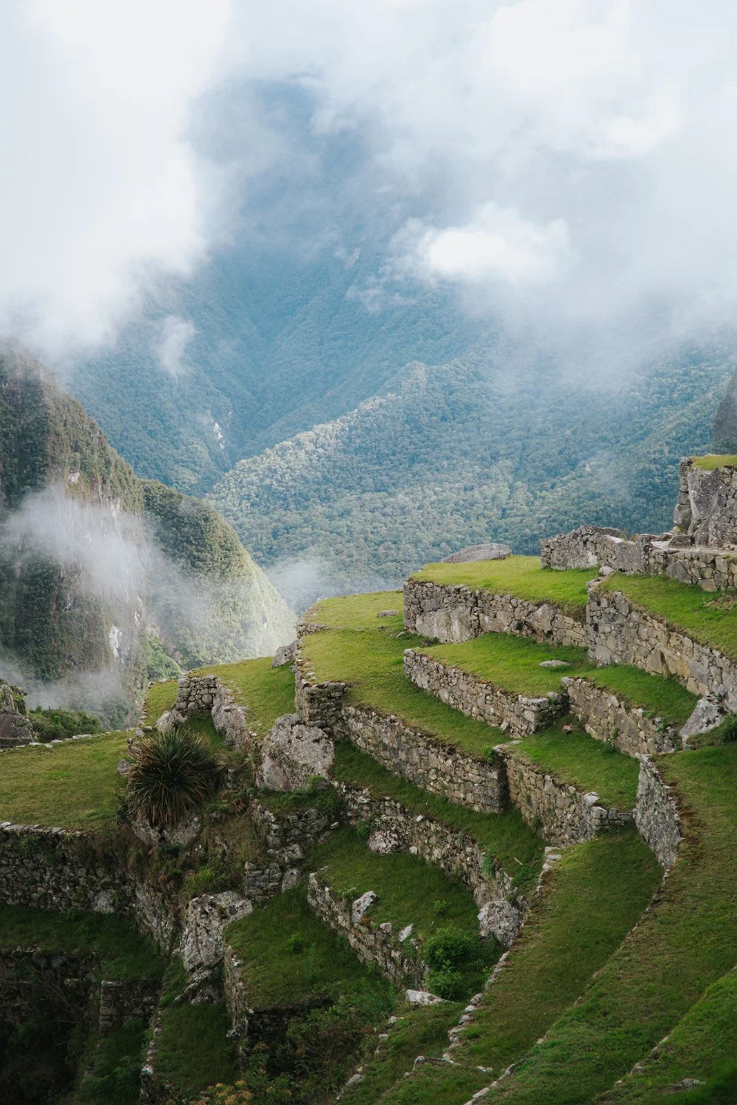 Salkantay Trek-62.jpg