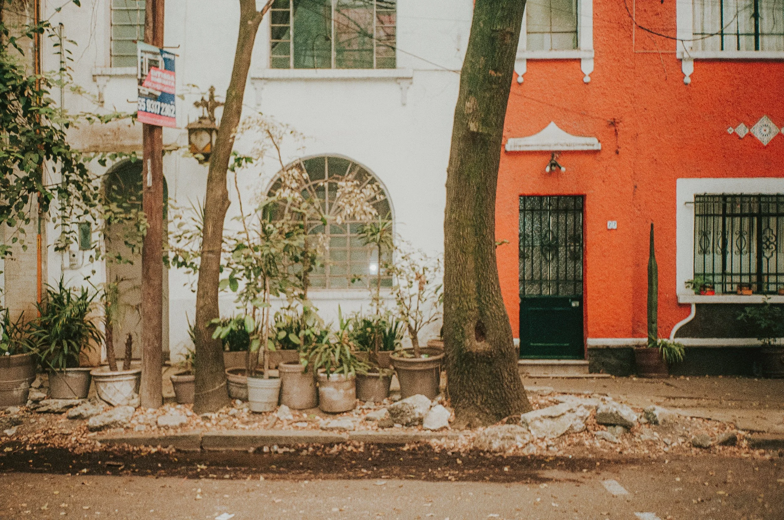 Mexico City on Film, December 2025-84.jpg