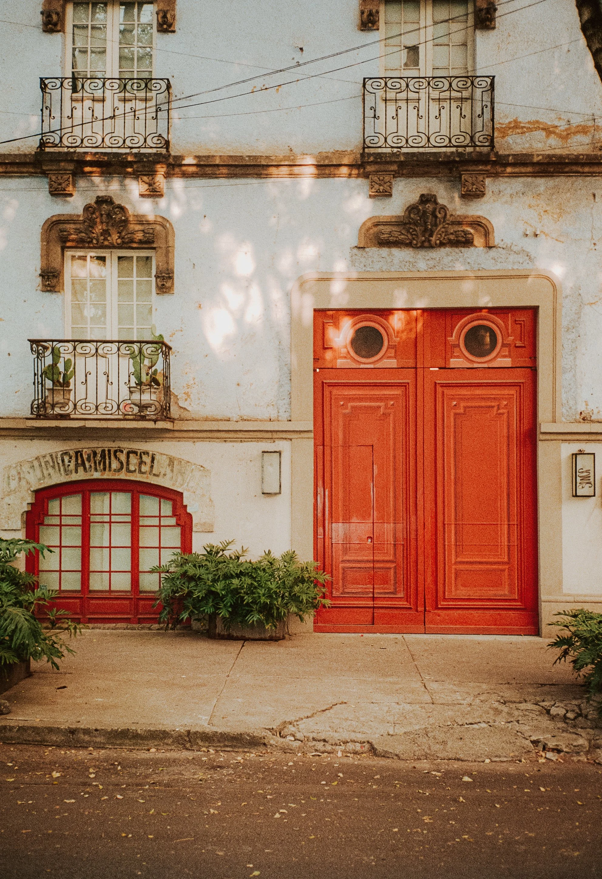 Mexico City on Film, December 2025-33.jpg