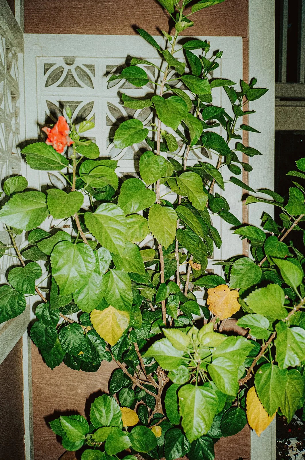 Annie and Grant-916.jpg