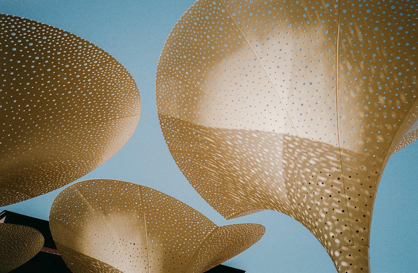 Kat and Andres Film-9.jpg