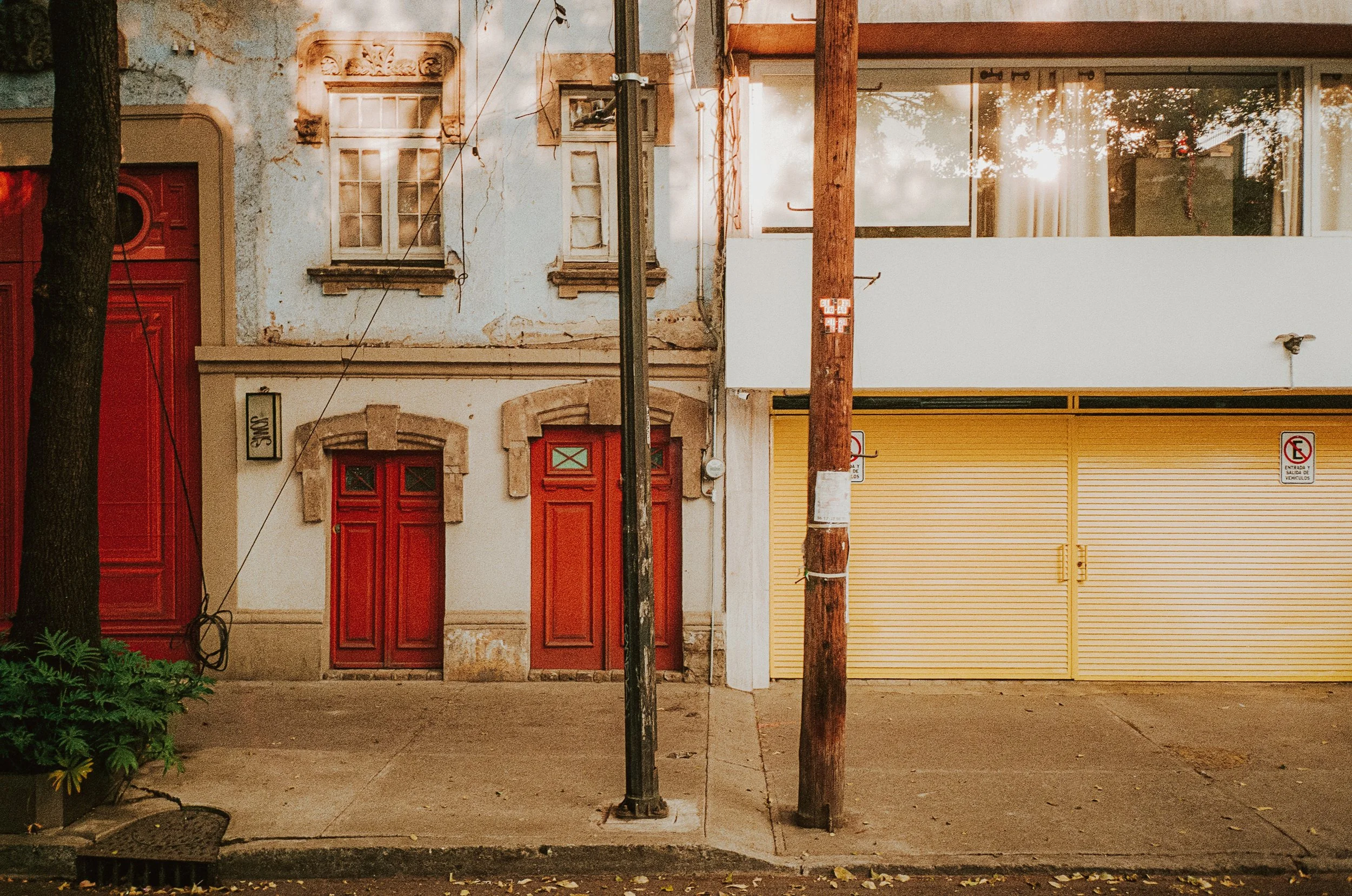 Mexico City on Film, December 2025-35.jpg