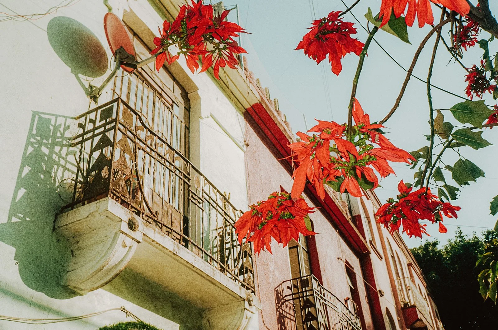 Mexico City on Film_ December 2025-63.jpg