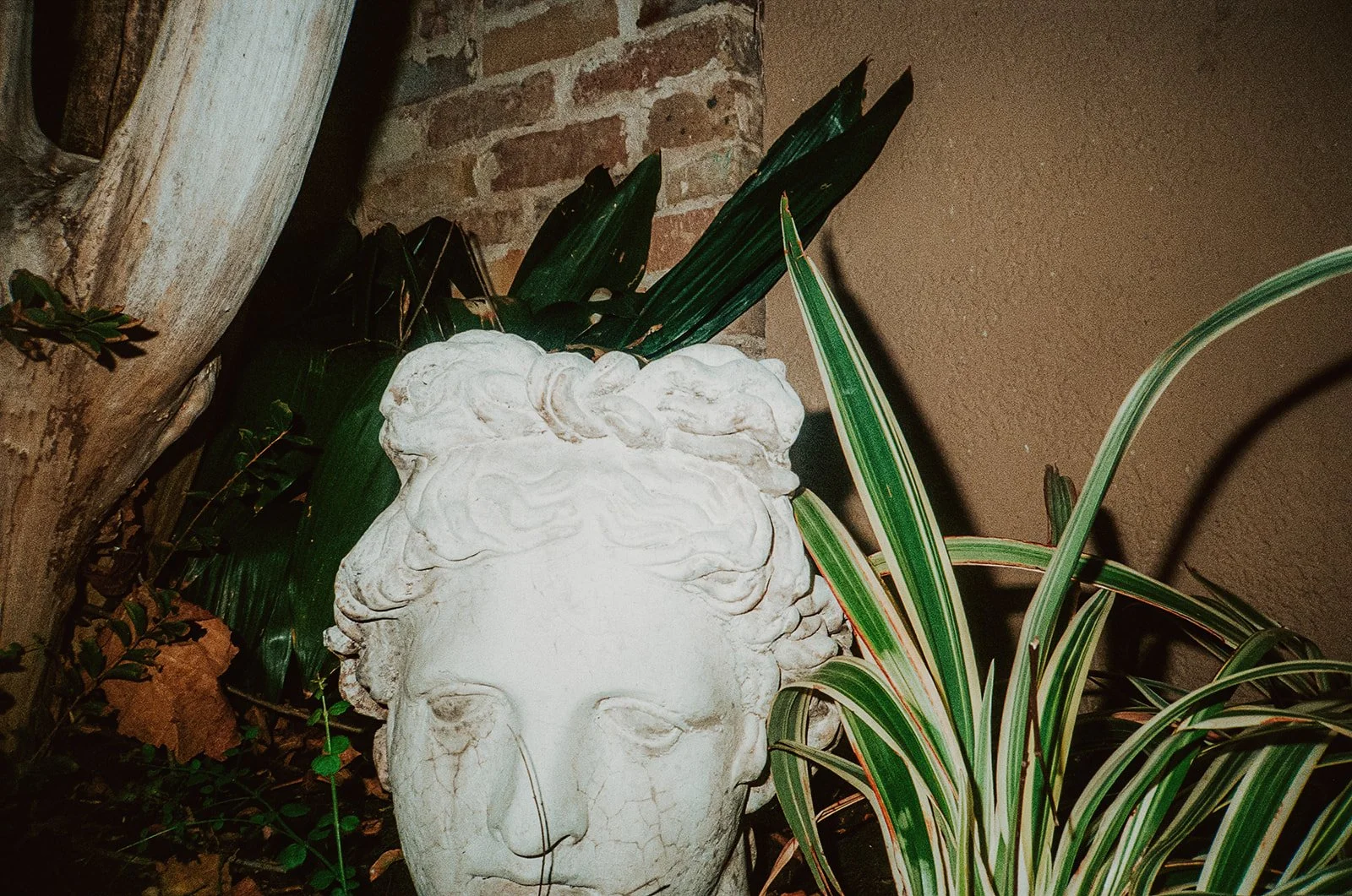 Annie and Grant-771.jpg