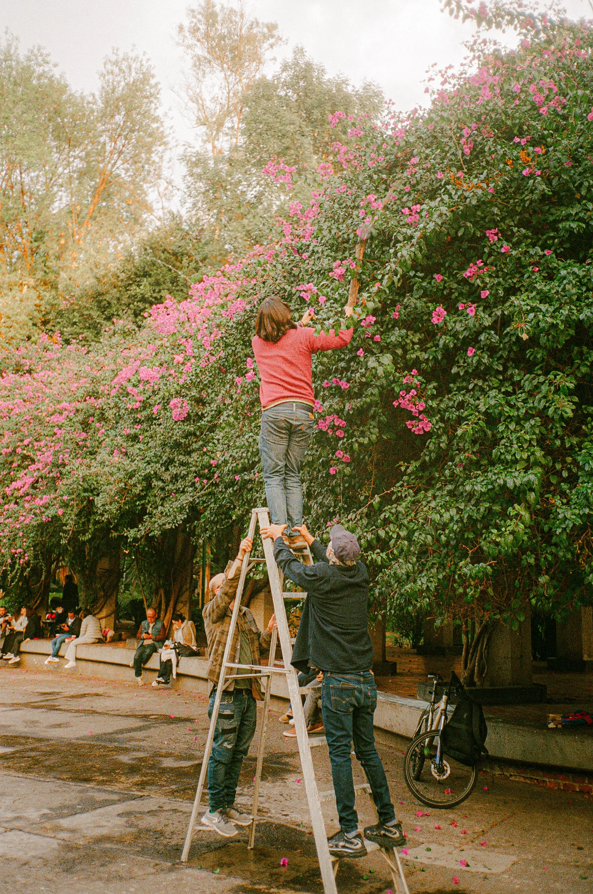 Mexico City on Film, December 2025-82.jpg