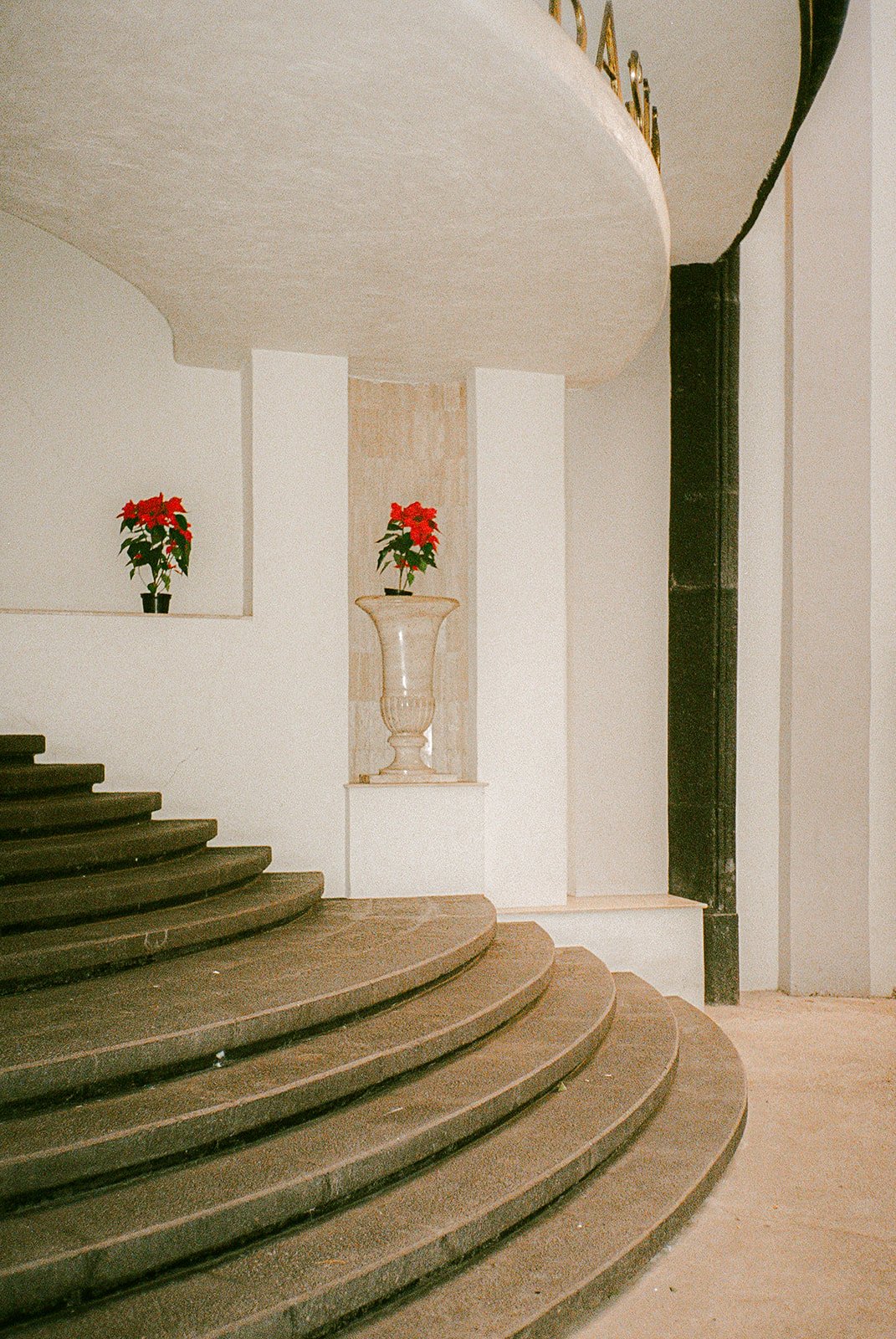 Mexico City on Film_ December 2025-86.jpg