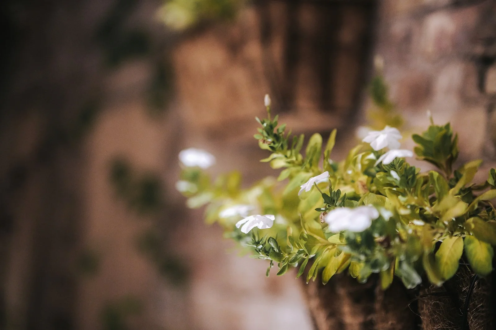 Annie and Grant-426.jpg