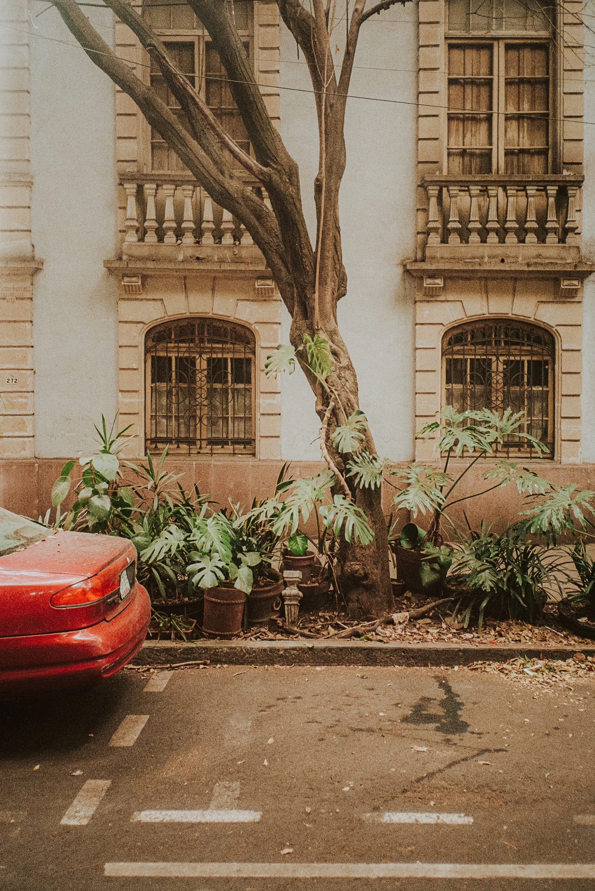 Mexico City on Film, December 2025-103.jpg