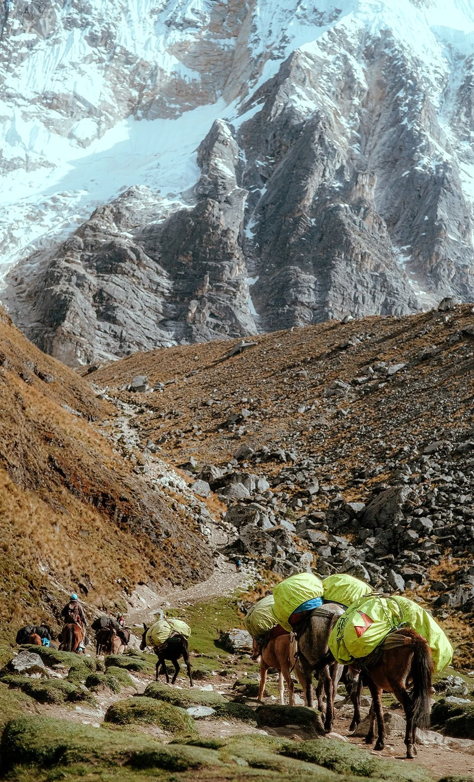 Salkantay Trek-11.jpg