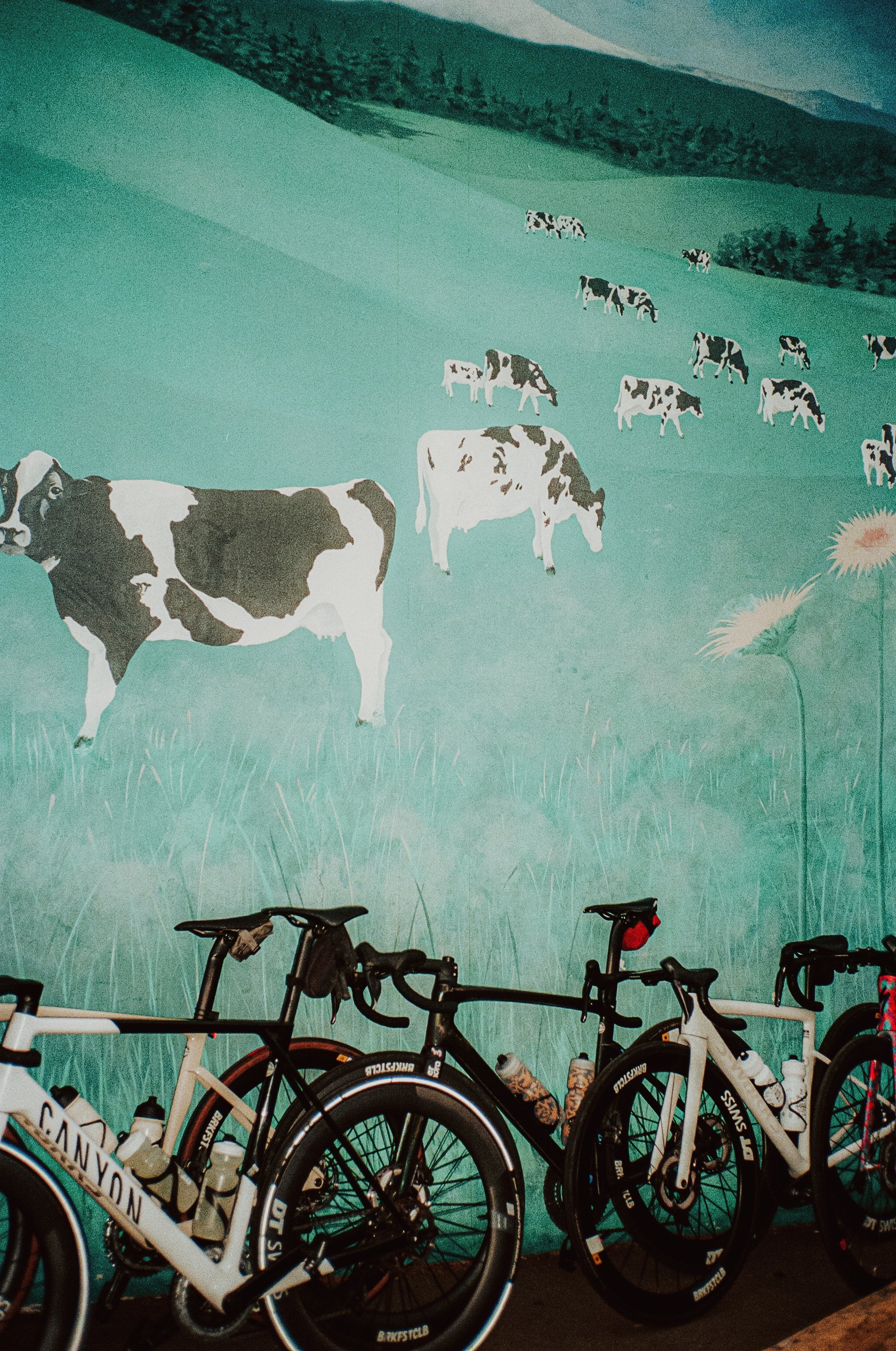 Portland Film-38.jpg