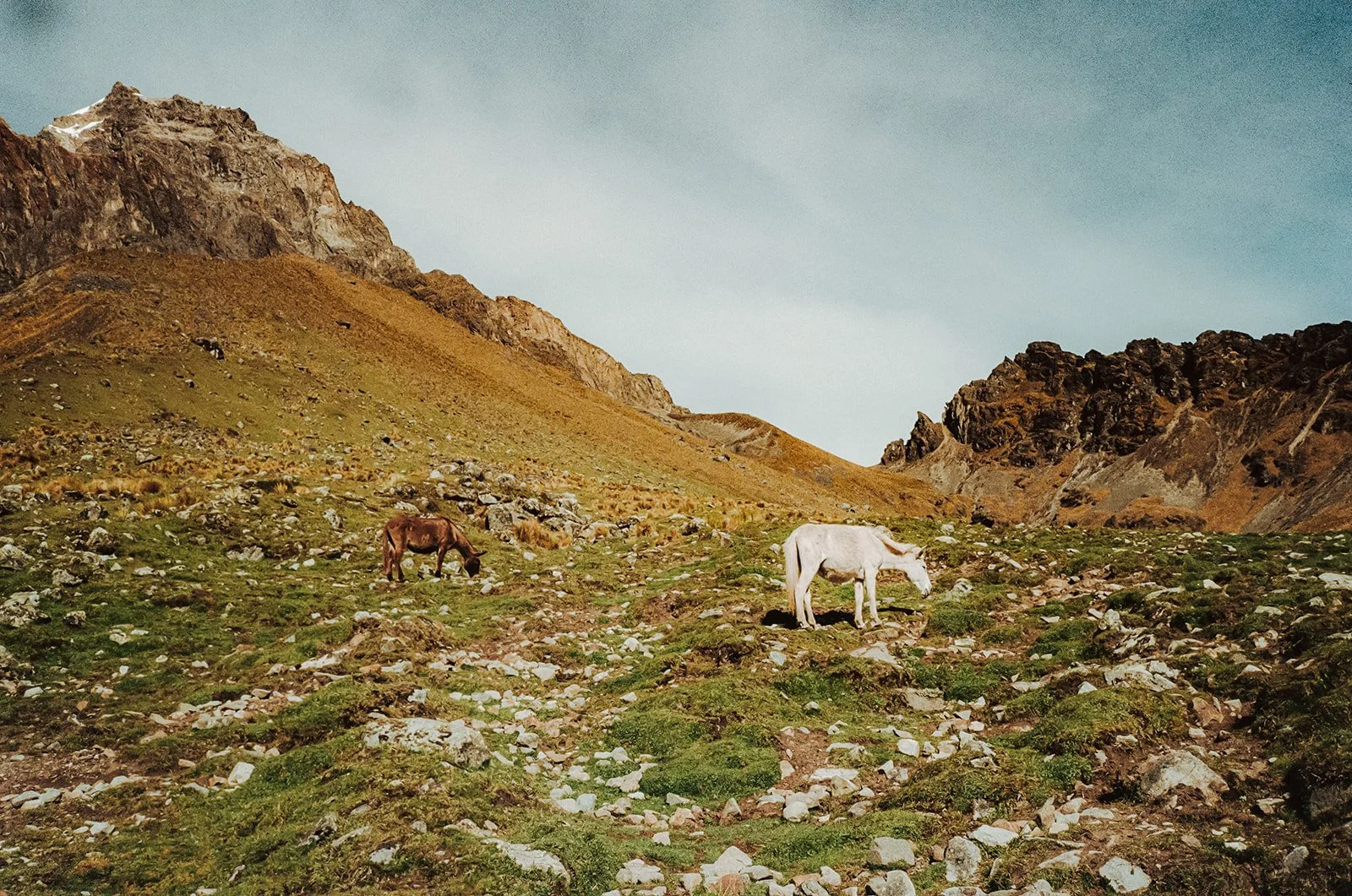 Peru on Film-116.jpg