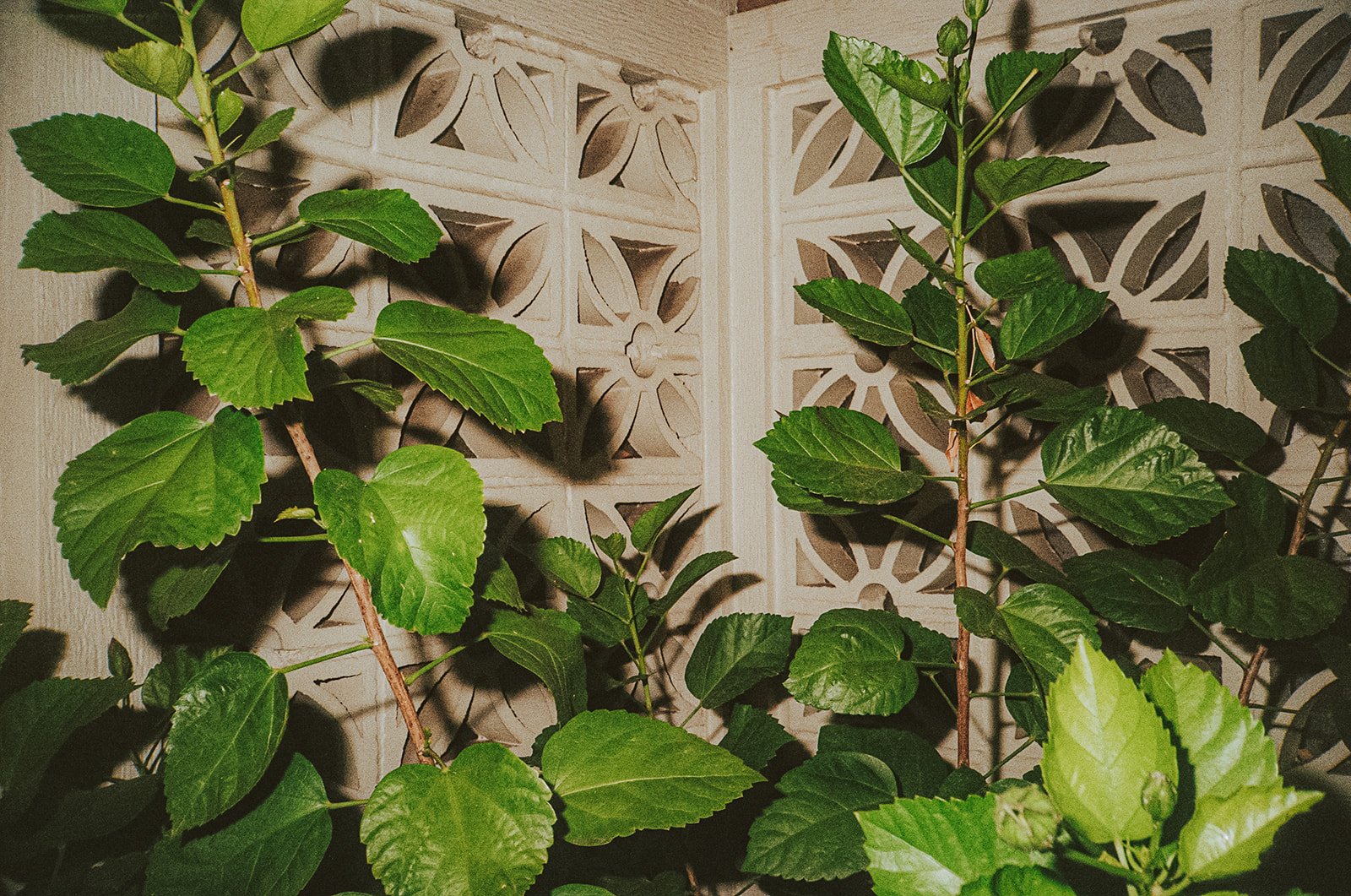 Annie and Grant-842.jpg