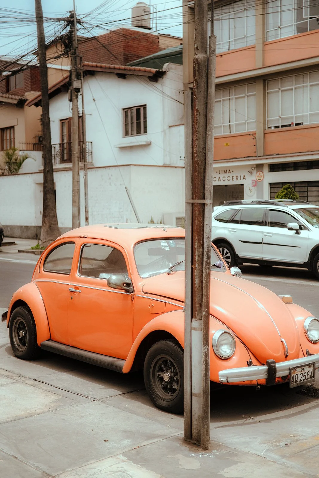 Peru 2025-86.jpg